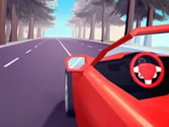 Fast Driver 3D